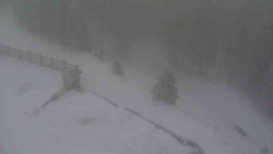 Přístup na běžeckou trať