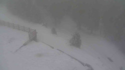 Přístup na běžeckou trať