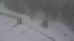 Přístup na běžeckou trať