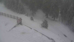 Přístup na běžeckou trať