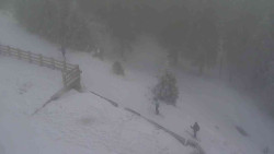 Přístup na běžeckou trať