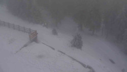 Přístup na běžeckou trať