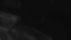 Přístup na běžeckou trať