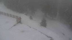 Přístup na běžeckou trať