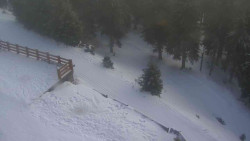 Přístup na běžeckou trať