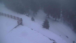 Přístup na běžeckou trať