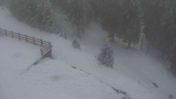 Přístup na běžeckou trať