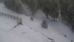 Přístup na běžeckou trať