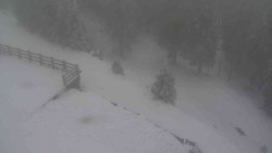 Přístup na běžeckou trať