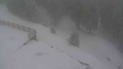 Přístup na běžeckou trať