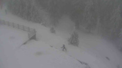 Přístup na běžeckou trať