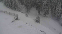 Přístup na běžeckou trať