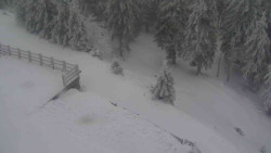 Přístup na běžeckou trať