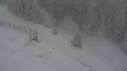 Přístup na běžeckou trať