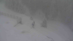 Přístup na běžeckou trať