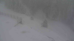 Přístup na běžeckou trať