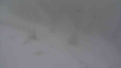 Přístup na běžeckou trať