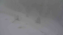 Přístup na běžeckou trať