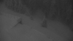 Přístup na běžeckou trať