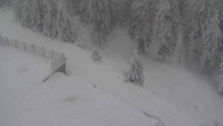 Přístup na běžeckou trať