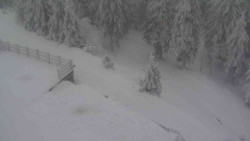 Přístup na běžeckou trať