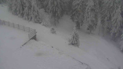 Přístup na běžeckou trať