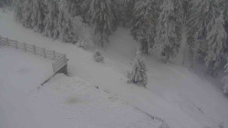 Přístup na běžeckou trať