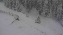 Přístup na běžeckou trať