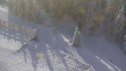 Přístup na běžeckou trať