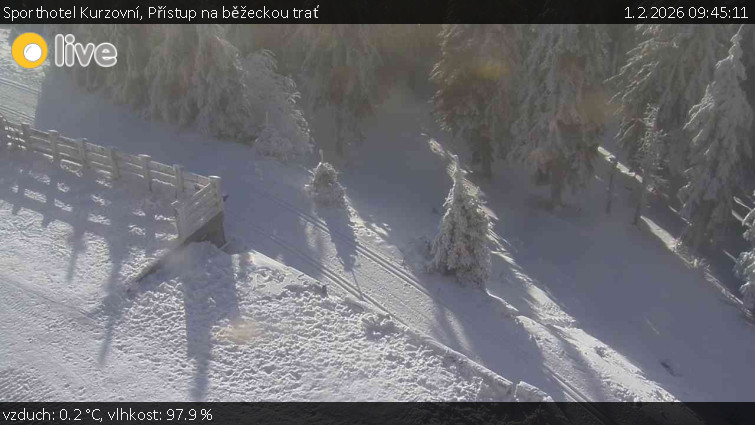 Sporthotel Kurzovní - Přístup na běžeckou trať - 1.2.2026 v 09:45