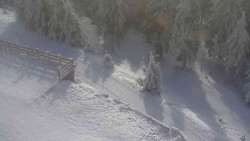 Přístup na běžeckou trať