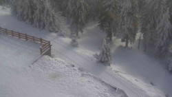 Přístup na běžeckou trať