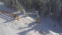 Přístup na běžeckou trať