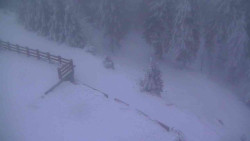 Přístup na běžeckou trať