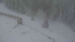 Přístup na běžeckou trať