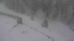 Přístup na běžeckou trať