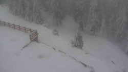 Přístup na běžeckou trať