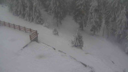 Přístup na běžeckou trať