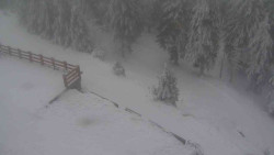 Přístup na běžeckou trať