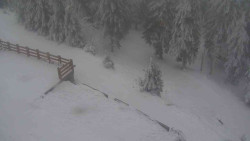 Přístup na běžeckou trať