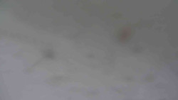 Přístup na běžeckou trať