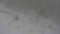 Přístup na běžeckou trať