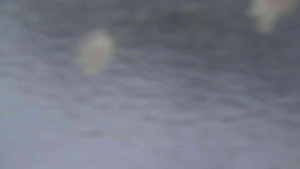 Sporthotel Kurzovní - Přístup na běžeckou trať - 4.2.2026 v 07:55