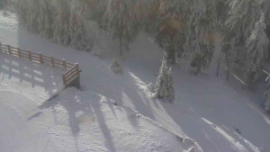 Sporthotel Kurzovní - Přístup na běžeckou trať - 4.2.2026 v 09:20