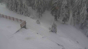 Sporthotel Kurzovní - Přístup na běžeckou trať - 4.2.2026 v 09:40