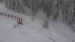 Přístup na běžeckou trať