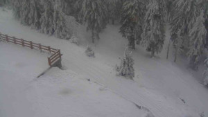 Sporthotel Kurzovní - Přístup na běžeckou trať - 4.2.2026 v 10:00