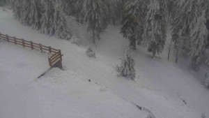 Sporthotel Kurzovní - Přístup na běžeckou trať - 4.2.2026 v 11:20