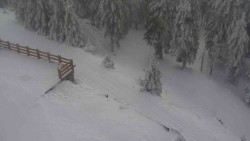 Přístup na běžeckou trať