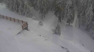 Sporthotel Kurzovní - Přístup na běžeckou trať - 4.2.2026 v 11:40